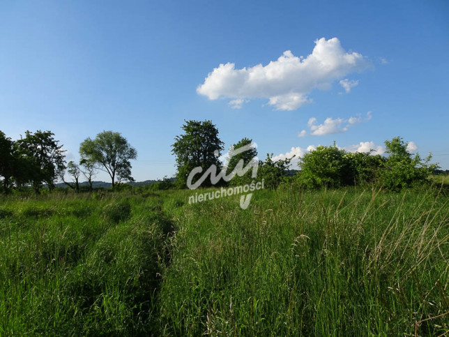 Działka Sprzedaż Binowo 3