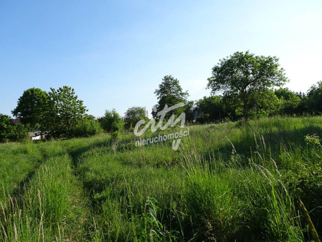 Działka Sprzedaż Binowo 15