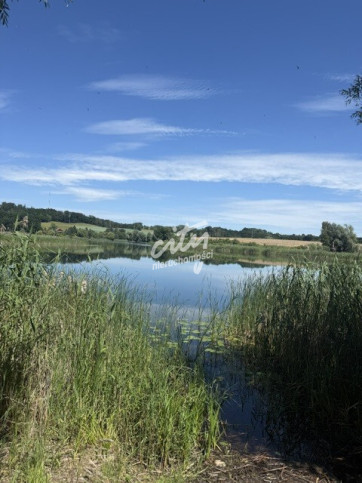 Działka Wynajem Binowo 1