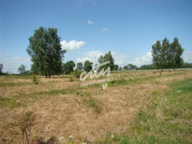 Działka Sprzedaż Stargard 8