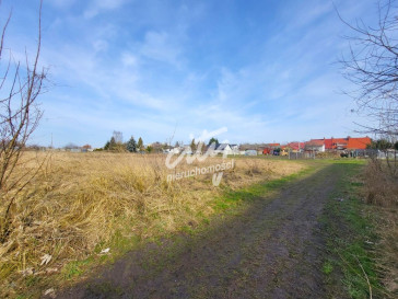 Działka Sprzedaż Koszewo