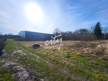 Działka Sprzedaż Koszewo