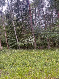 Działka Sprzedaż Piaseczno