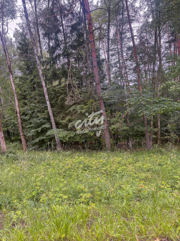 Działka Sprzedaż Piaseczno 8