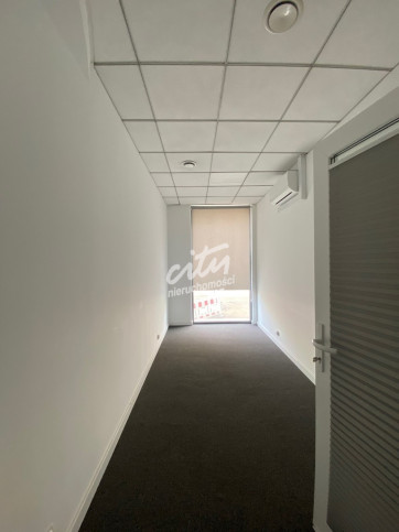 Lokal Wynajem Szczecin Centrum 6