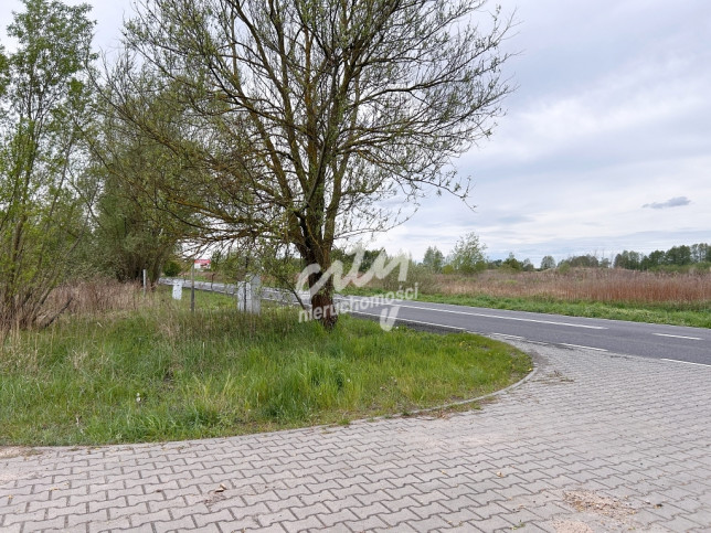 Działka Sprzedaż Szczecin Dąbie Lubczyńska 4