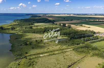 Działka Sprzedaż Wierzbno