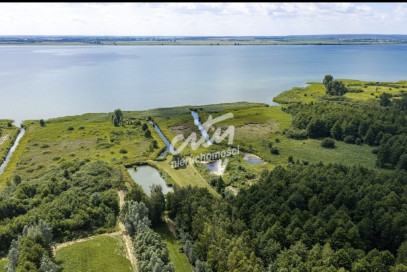 Działka Sprzedaż Wierzbno