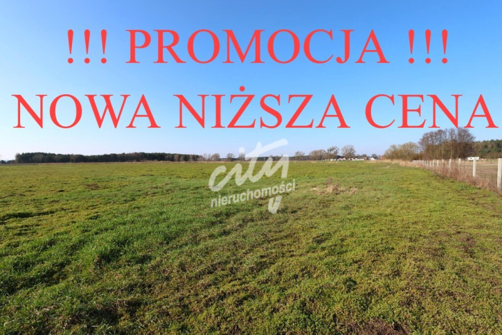 Działka Sprzedaż Lubczyna 1