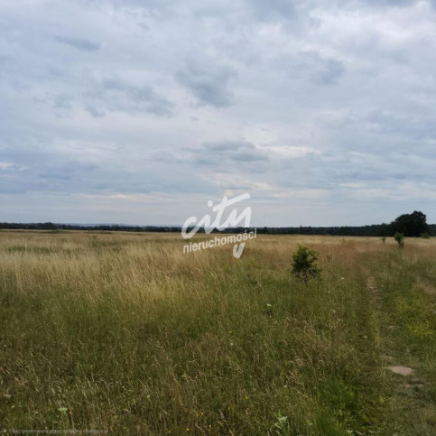 Działka Sprzedaż Buk 3