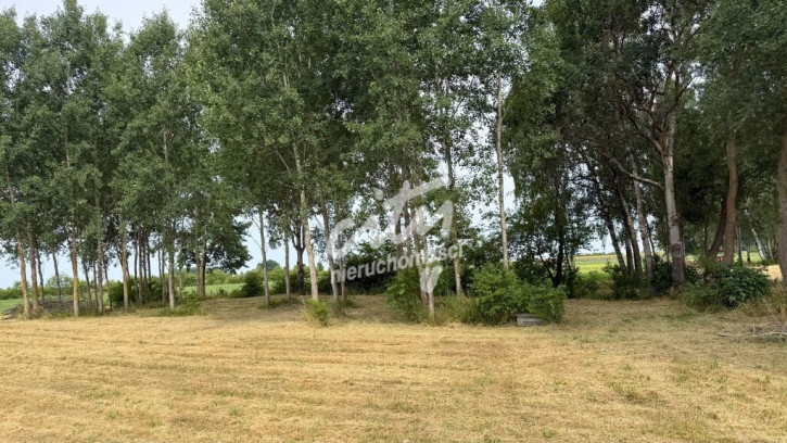 Działka Sprzedaż Marszewo 3