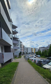 Mieszkanie Wynajem Szczecin Centrum Stefana Lewandowskiego