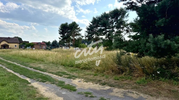 Działka Sprzedaż Modrzewie 5