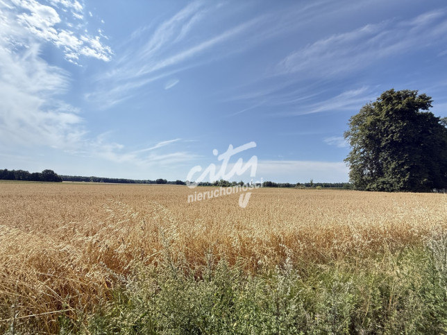 Działka Sprzedaż Oświno 18