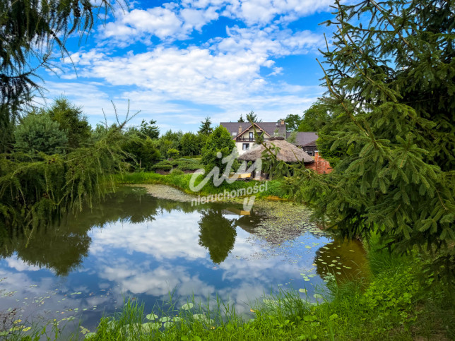 Dom Sprzedaż Daleszewo 1