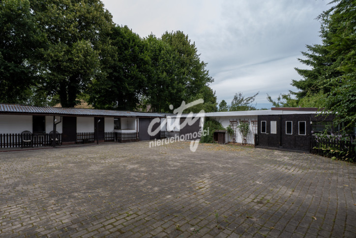 Dom Sprzedaż Czarna Łąka 87