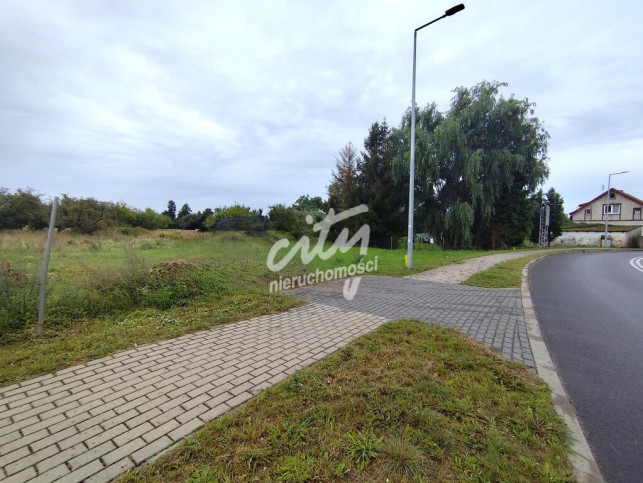 Działka Sprzedaż Stepniczka 8