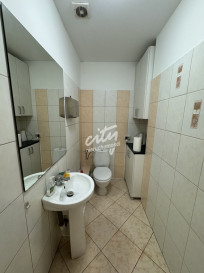 Lokal Wynajem Szczecin Śródmieście-Centrum