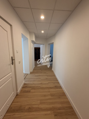 Lokal Wynajem Szczecin Śródmieście-Centrum 11