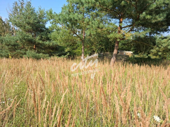 Działka Sprzedaż Łęgi 4