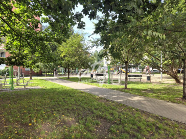 Mieszkanie Sprzedaż Szczecin Centrum Kujawska