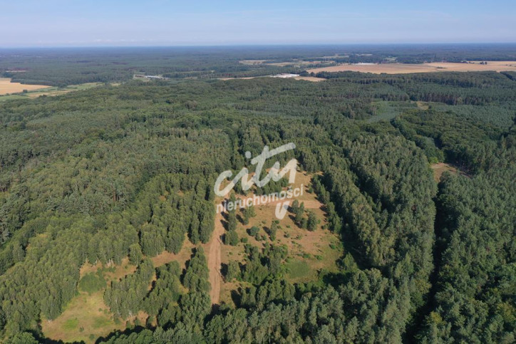 Działka Sprzedaż Osina 2