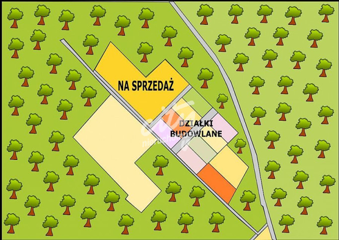 Działka Sprzedaż Osina 5
