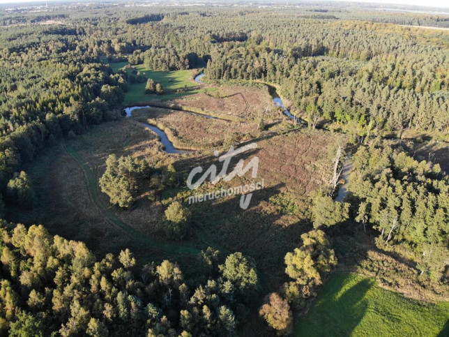 Działka Sprzedaż Goleniów 1