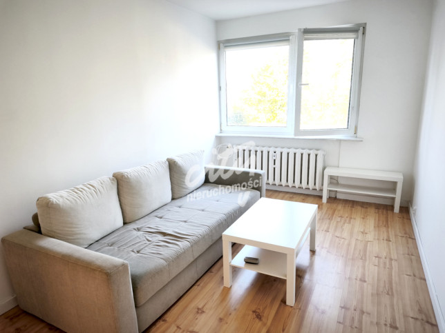 Mieszkanie Wynajem Szczecin Nowe Miasto Potulicka 2