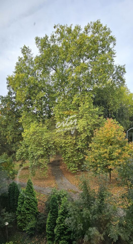 Mieszkanie Sprzedaż Szczecin Niebuszewo Jana Żupańskiego 10