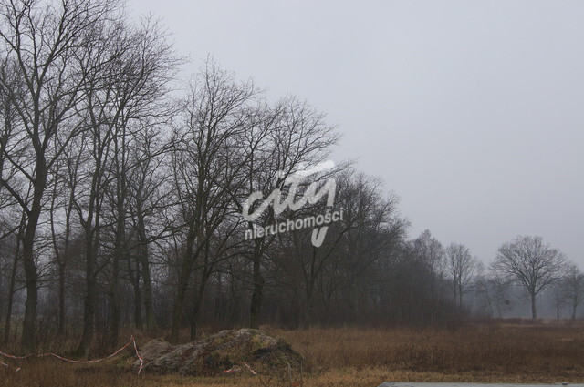Działka Sprzedaż Rzędziny 3