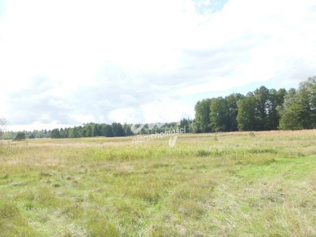 Działka Sprzedaż Grzepnica 1