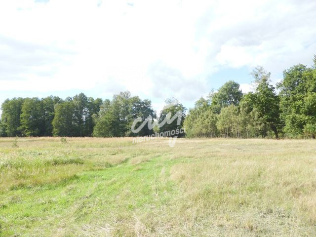 Działka Sprzedaż Grzepnica 2