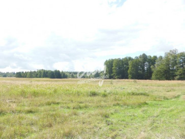 Działka Sprzedaż Grzepnica