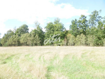 Działka Sprzedaż Grzepnica