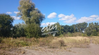 Działka Sprzedaż Radzanek