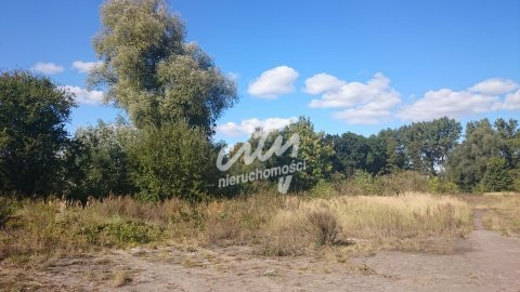 Działka Sprzedaż Radzanek 5