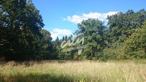 Działka Sprzedaż Radzanek 8