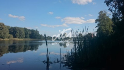 Działka Sprzedaż Radzanek