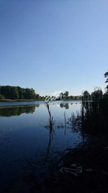 Działka Sprzedaż Radzanek