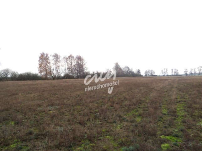 Działka Sprzedaż Uniemyśl 3