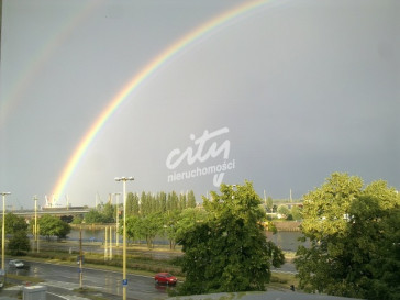 Lokal Wynajem Szczecin Wały Chrobrego