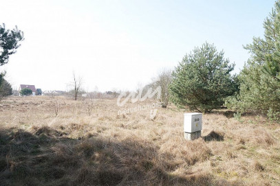 Działka Sprzedaż Rurzyca