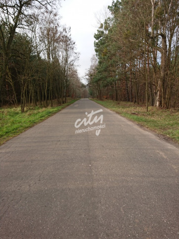 Działka Sprzedaż Starzyce 7
