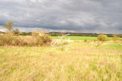 Działka Sprzedaż Binowo