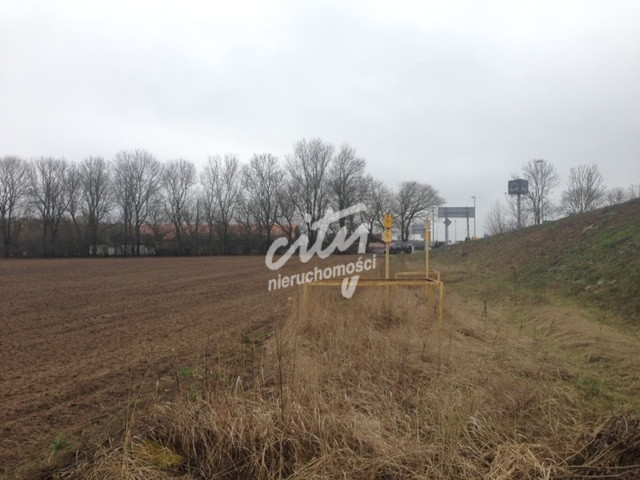 Działka Sprzedaż Motaniec 2