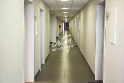 Lokal Wynajem Szczecin Śródmieście