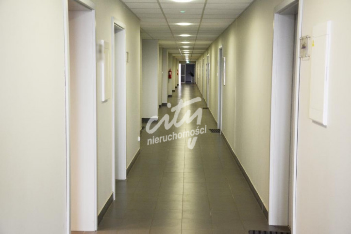 Lokal Wynajem Szczecin Śródmieście 10