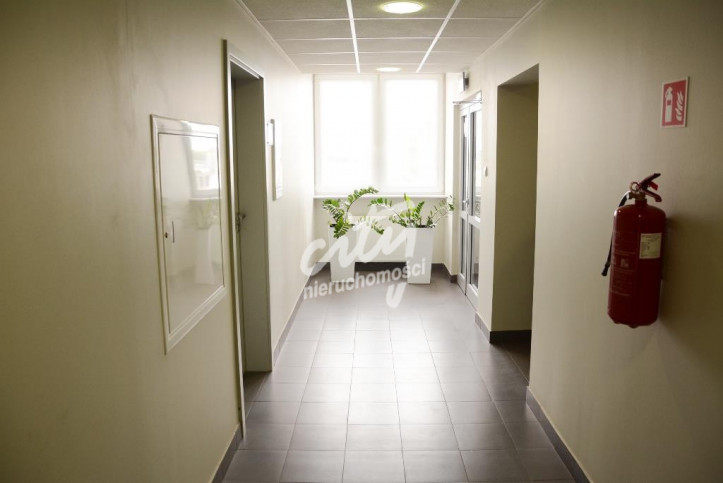 Lokal Wynajem Szczecin Śródmieście 6
