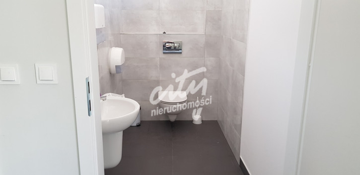Lokal Wynajem Szczecin Śródmieście 7